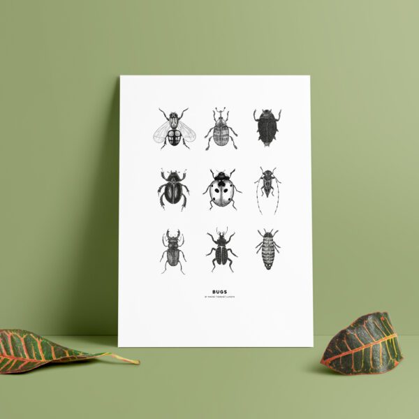 BUGS - bugs