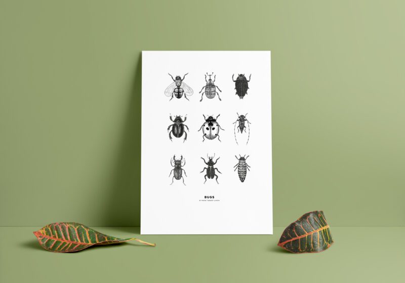 BUGS - bugs