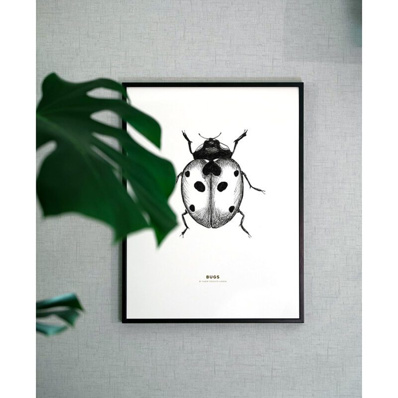 BUGS - Nyckelpiga - Bild 2
