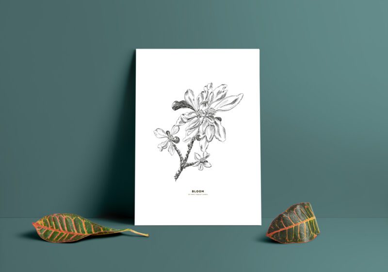 print, poster, äppleblom, apple blossom