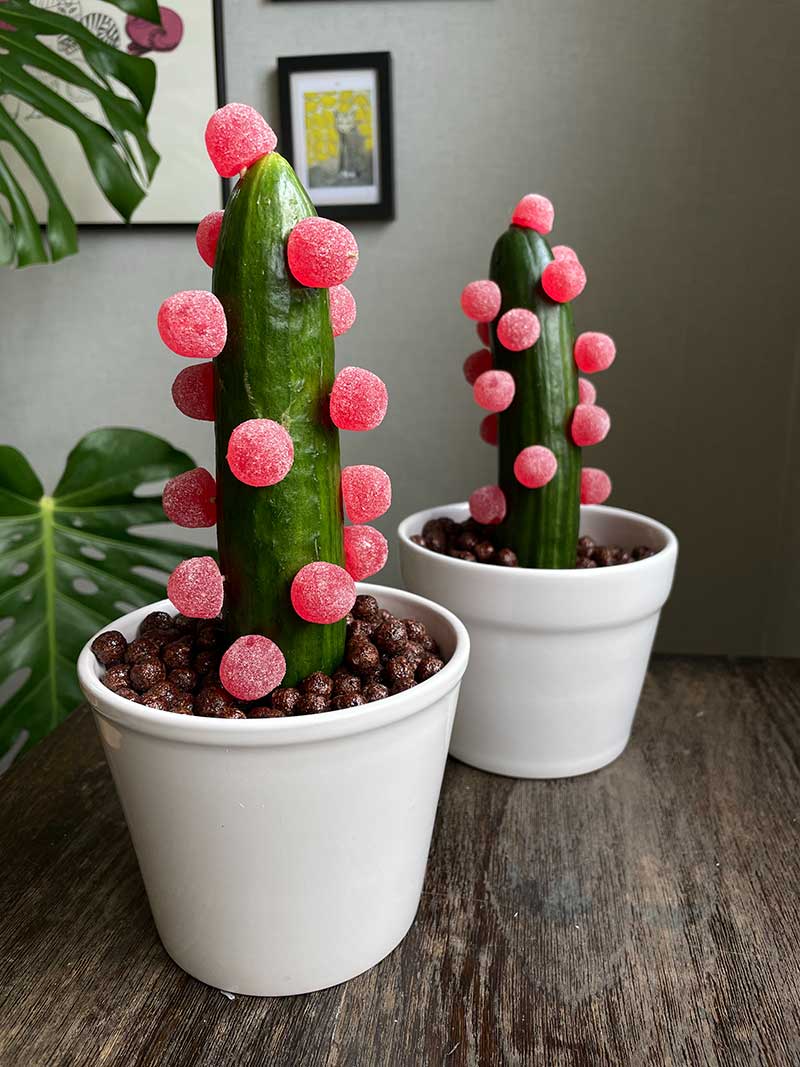 gurkkaktus sommarlovspresent